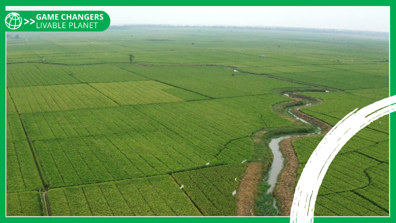 Axel_vanT's tweet photo. By 2050, a booming global population will increase the demand for #water & food. On #WorldEnvironmentDay, I recommend this story focused on how adopting sustainable, climate-smart irrigation is not just a choice; it is a necessity for a #LiveablePlanet: https://t.co/MZQ2lIm0nr https://t.co/7NujzuOnsP