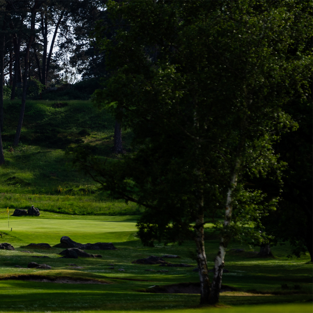 Course Diaries episode now live from Golf de Fontainebleau.

Tom Simpson was a true artist, and his skills are brilliantly showcased at this wonderful club 35 miles south of Paris. 👇
 
podcasts.apple.com/gb/podcast/the…