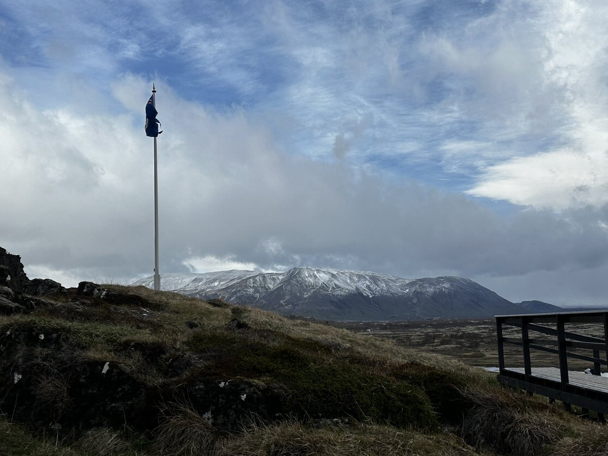 Rachel Guidry tweet media