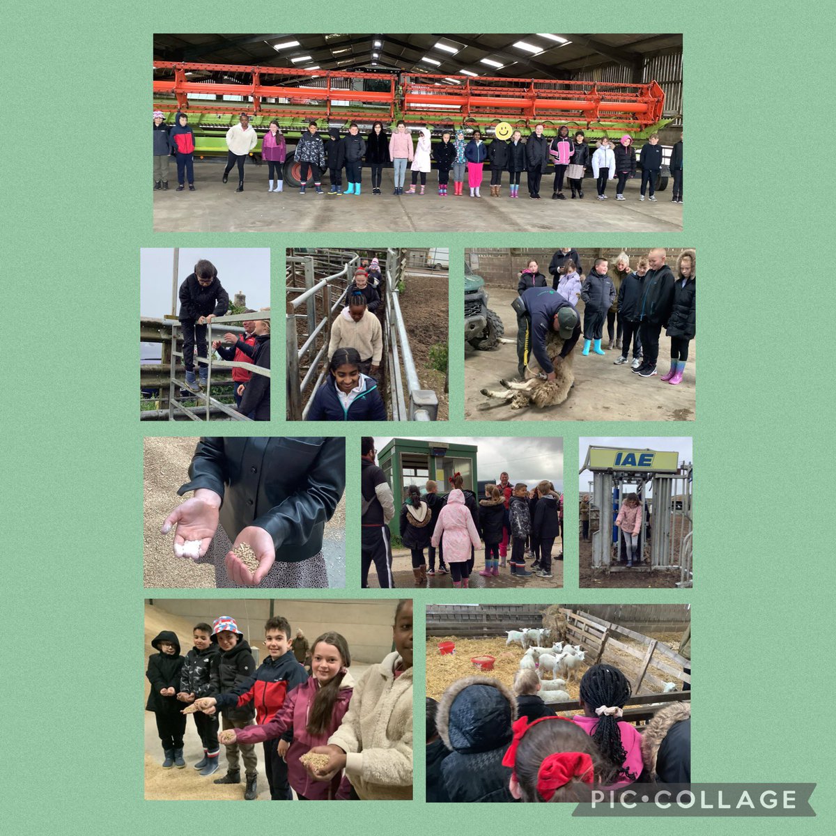 FPMrsMcMillan's tweet photo. The rain didn’t stop our adventures at Longwitton farm! We learned about the machinery and vehicles, and all the crops and animals. We even had the chance to turn wheat into flour! @FallaParkSchool https://t.co/uTzQuzsagM