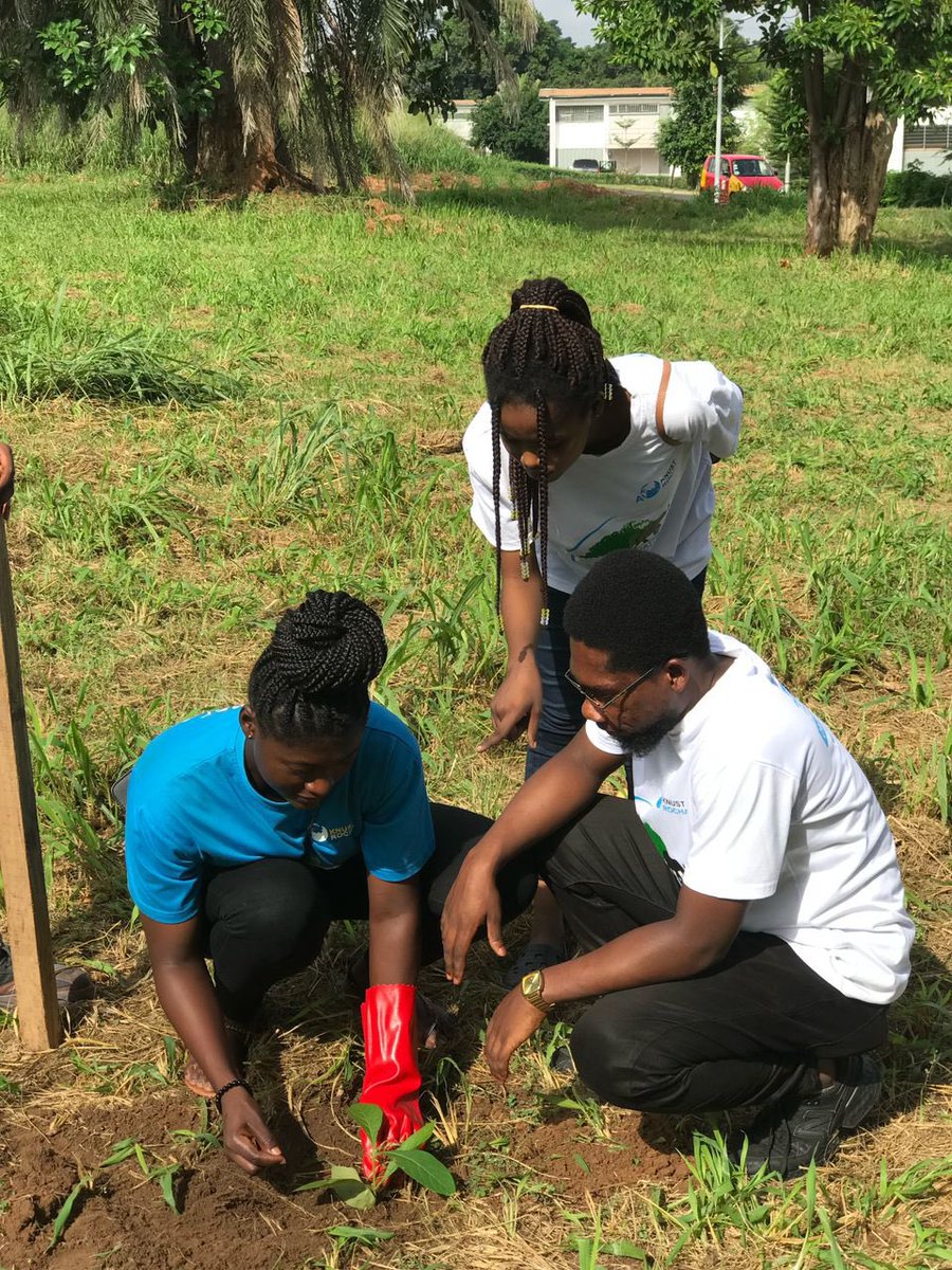 Fatima2_sharif's tweet photo. As today marks World Environmental Day, let's all be on board to make the world a better to live and help restore our forests.
#WorldEnvironmentDay‌2024 
#LetsGoGreen https://t.co/080ibnXn9O