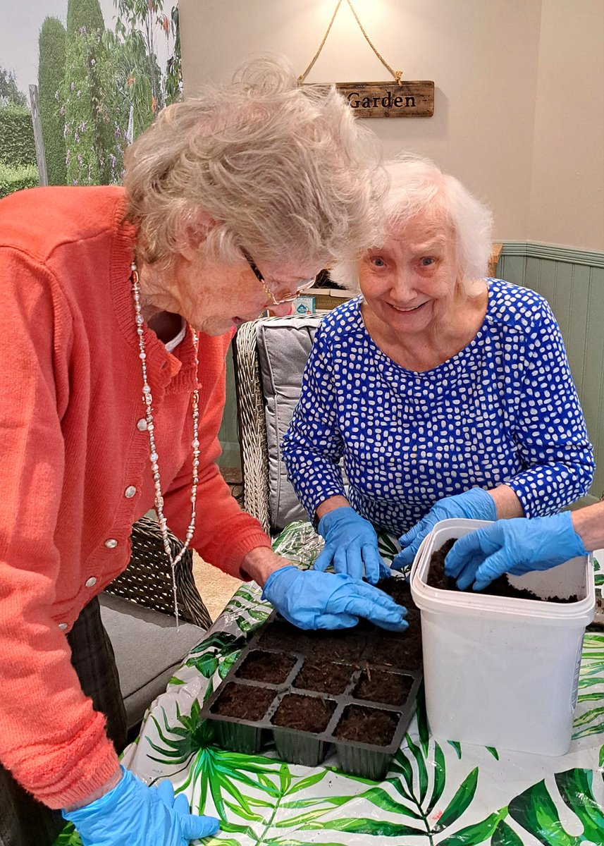 How's beautiful 🩶