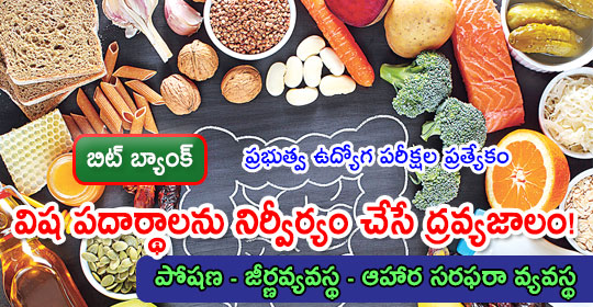 pratibha.eenadu.net/jobs/lesson/ds…
విష పదార్థాలను నిర్వీర్యం చేసే ద్రవ్యజాలం!
#tspsc #tspscexams #telanganaservicepubliccommission #tspscnotification #tsgovtjobs #tspscstudymaterial #apconstablepreparation #apconstablestudymaterial  
పోషణ - జీర్ణవ్యవస్థ - ఆహార సరఫరా వ్యవస్థ - బయాలజీ