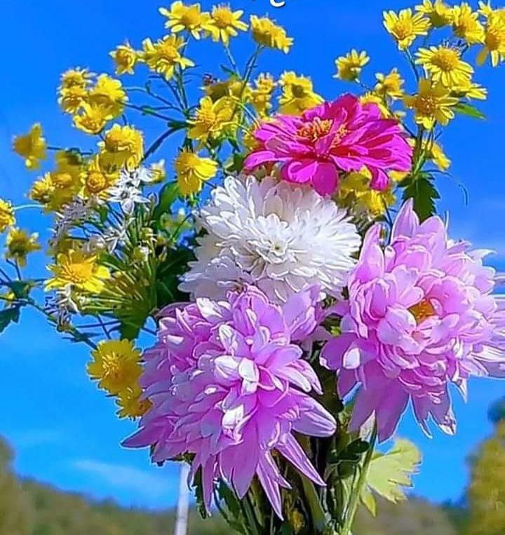 𝗔𝗿𝘀𝗵𝗱 𝗠𝗹𝗶𝗸💫👑 tweet media