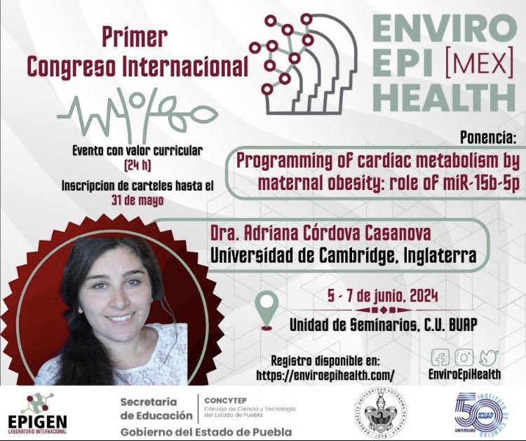 ozannelab's tweet photo. Very proud of our Chilean postdoctoral fellow@#AnidInforma @Adriana99357420 giving her first talk at an international meeting @enviroepihealth
“Programming of cardiac metabolism by maternal obesity : role of Mir-15b-5p” https://t.co/B2qaUSD8l6