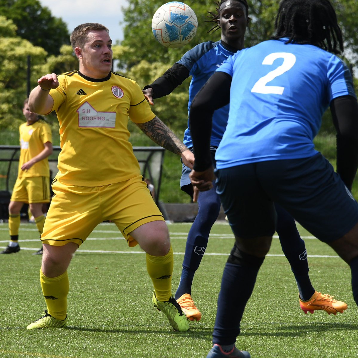 Essex Alliance FL tweet media