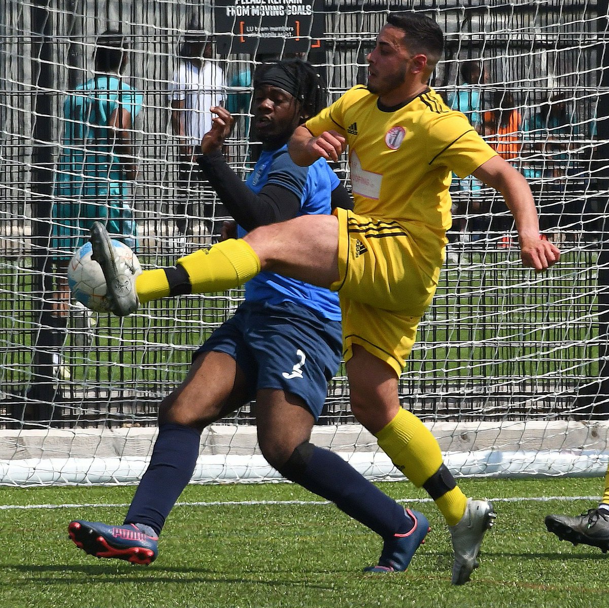 Essex Alliance FL tweet media