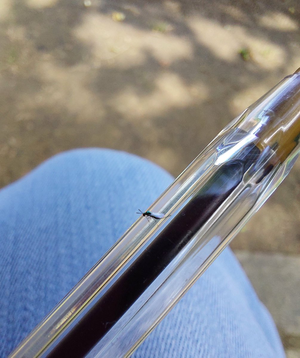 Kate Garrett tweet media