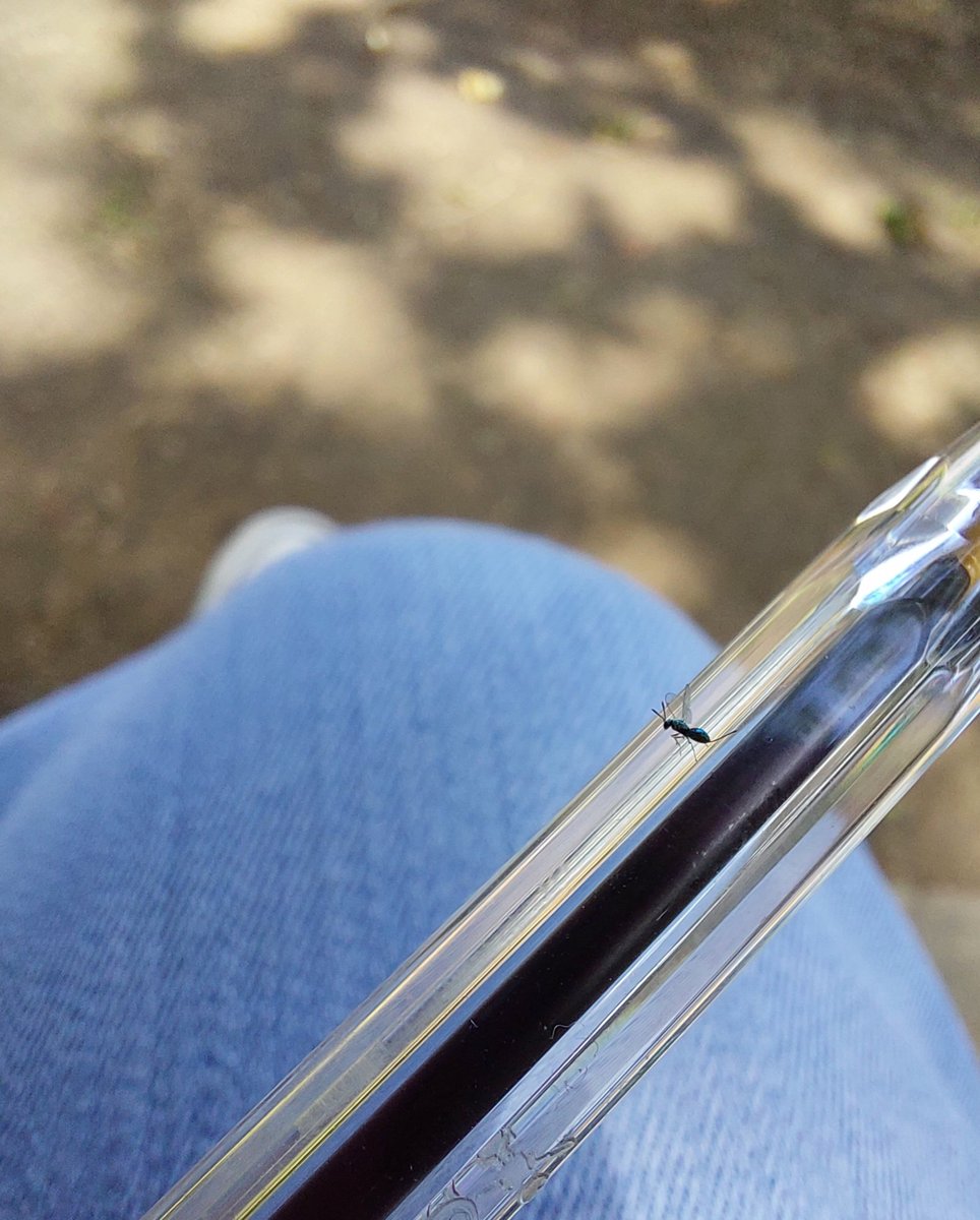 Kate Garrett tweet media