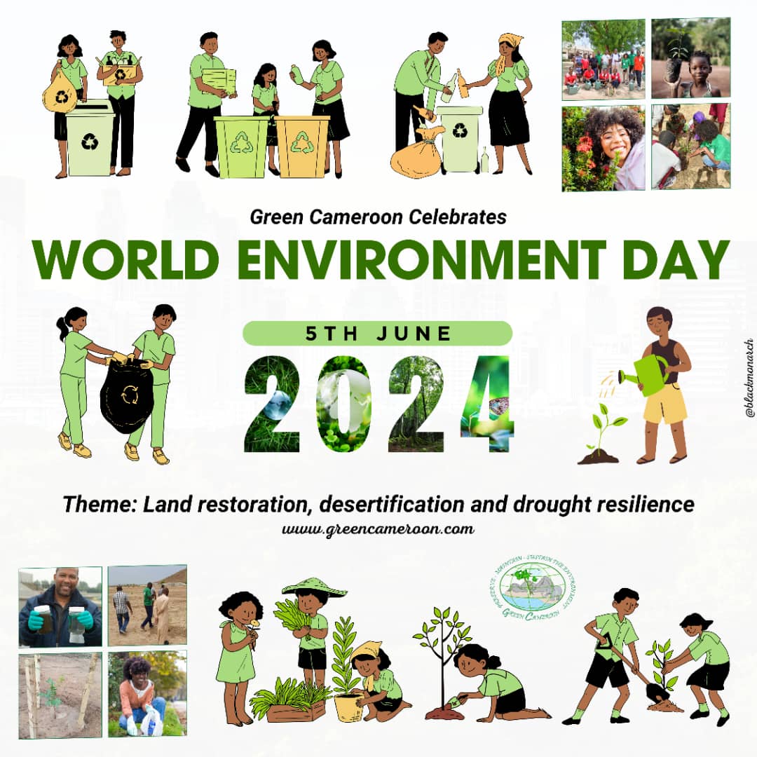Green Cameroon tweet media