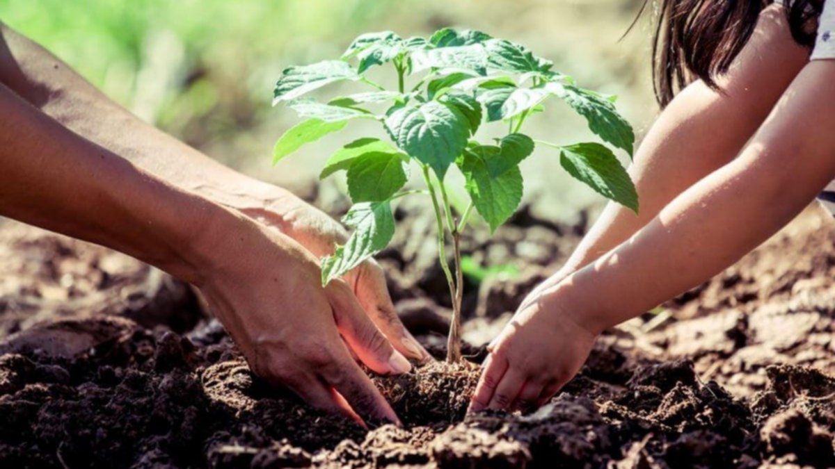 En el #DíaMundialDelMedioAmbiente, reafirmamos el compromiso de promover acciones para la protección de los recursos naturales, evitar la contaminación de nuestro entorno y vivir en armonía y equilibrio con la naturaleza.
#CubaPorLaVida