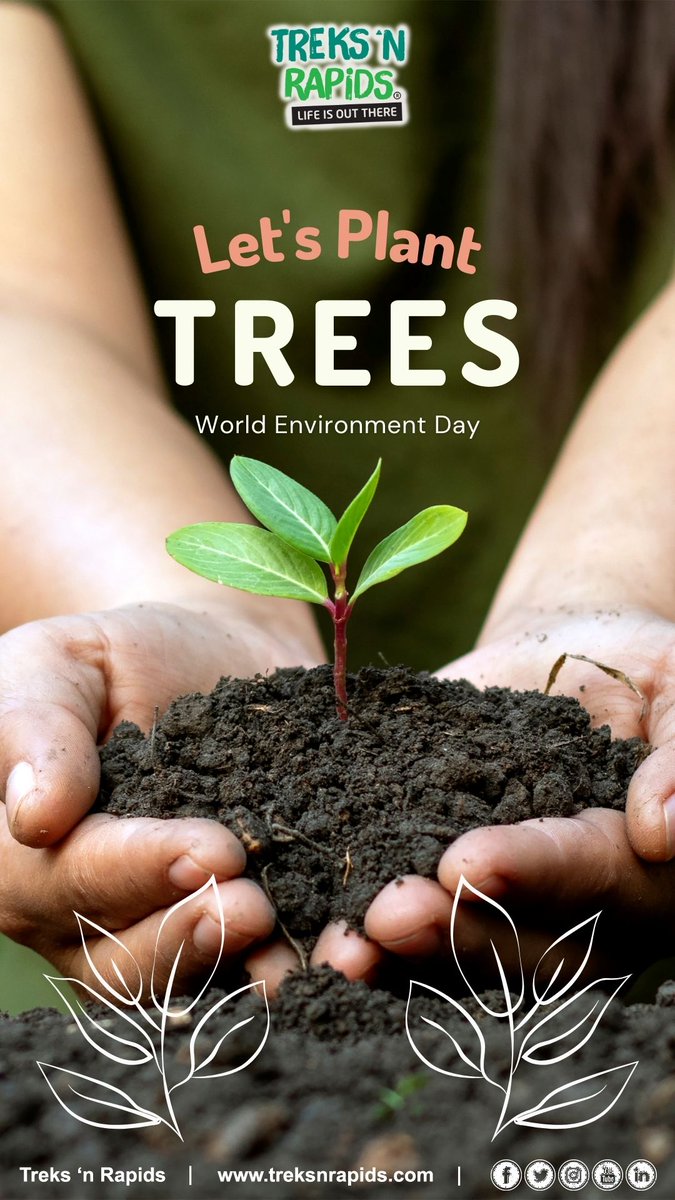 treksnrapids's tweet photo. Celebrating #WorldEnvironmentDay!

#PlantMoreTrees #LifeIsOutThere https://t.co/0AHm6yK3sJ