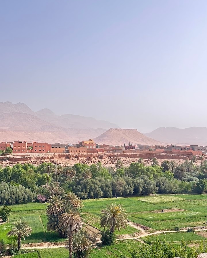 MoroccoCheap's tweet photo. Planning a road trip in Morocco? Look no further! Our tour packages are ready to turn your travel dreams into reality 🛣️🌴

Book your tour ⤵️

📧 cheapmoroccotravel@gmail.com
🌍https://t.co/lgtdUZ0BkM
📞 WhatsApp : +212661440880

#morocco #travel #desert #adventure #explore https://t.co/12pSLZA2uK