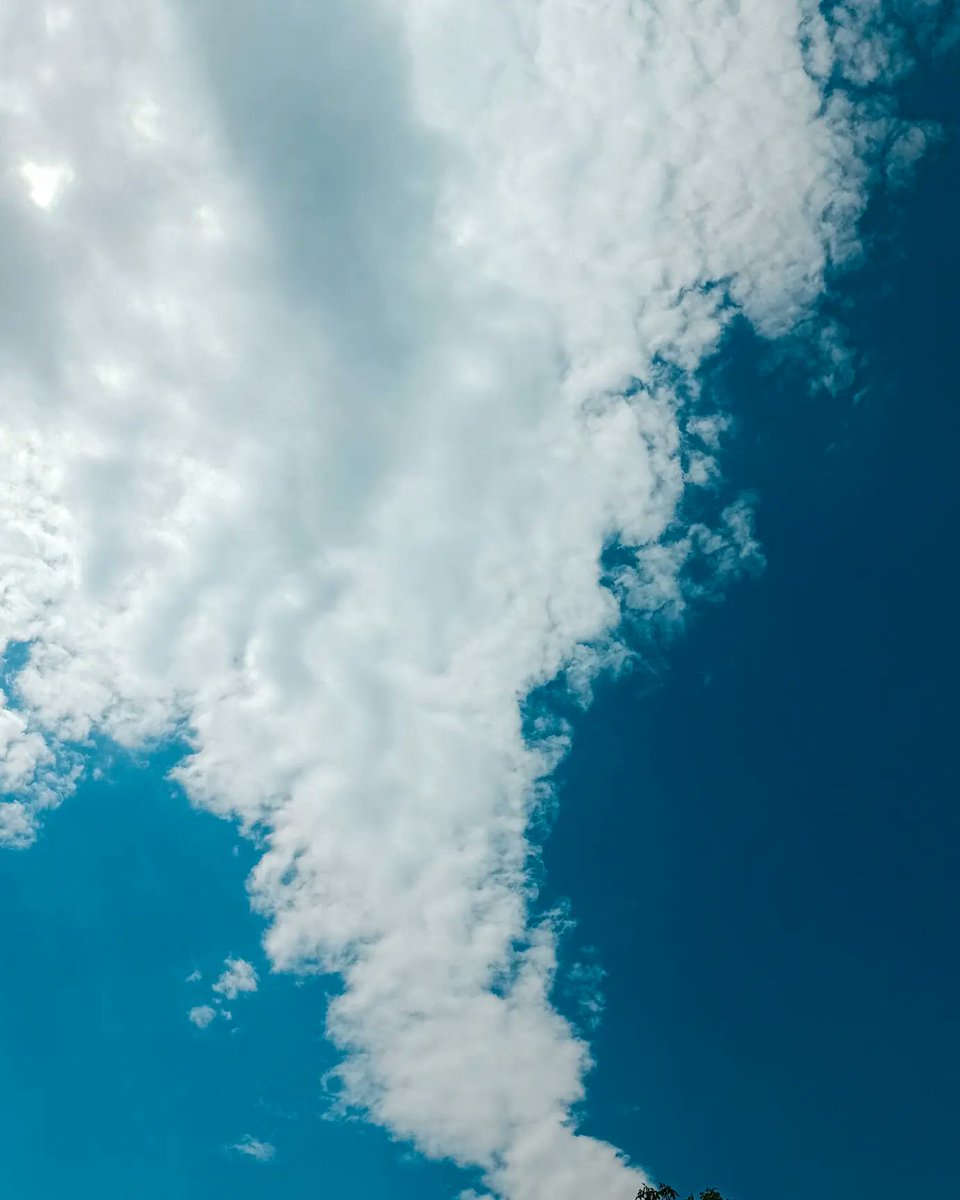 aamirshowkat_'s tweet image. Shots with : @vivo_india
By : Aamir Showkat 
#instagram #distantsky #mindthoughts #shotonvivo 
#photography #vivo #adobe #lifequotes #64mp #lightroom