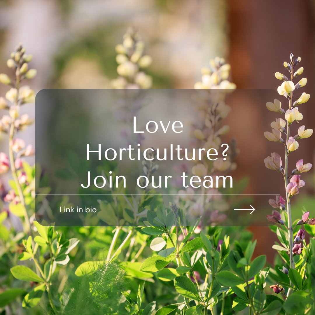 We currently have some fantastic opportunities to join our award-winning Team.

Interested in finding out more, visit: landformconsultants.co.uk/join-our-team/

#GardenMaintenance #horticulture #GardeningJobs #MaintenanceGardener #jobs #skills #GardeningSkills #LoveGardening #SoftLandscaping