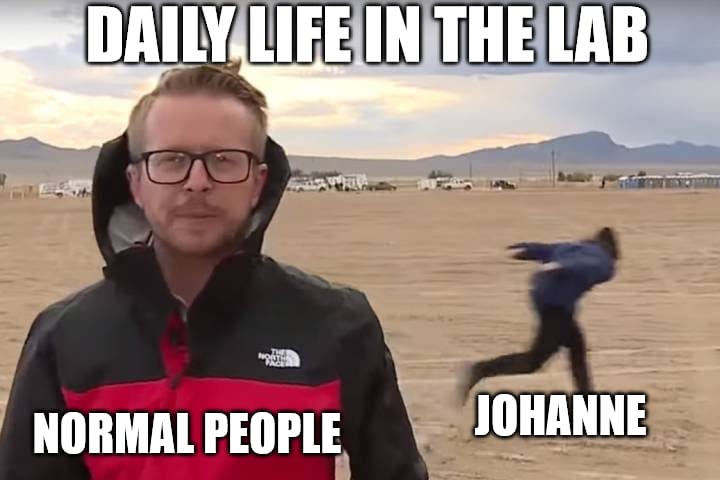 Credit: <a href="/Amael_daval/">Amaël DAVAL</a>👌🏽🤣