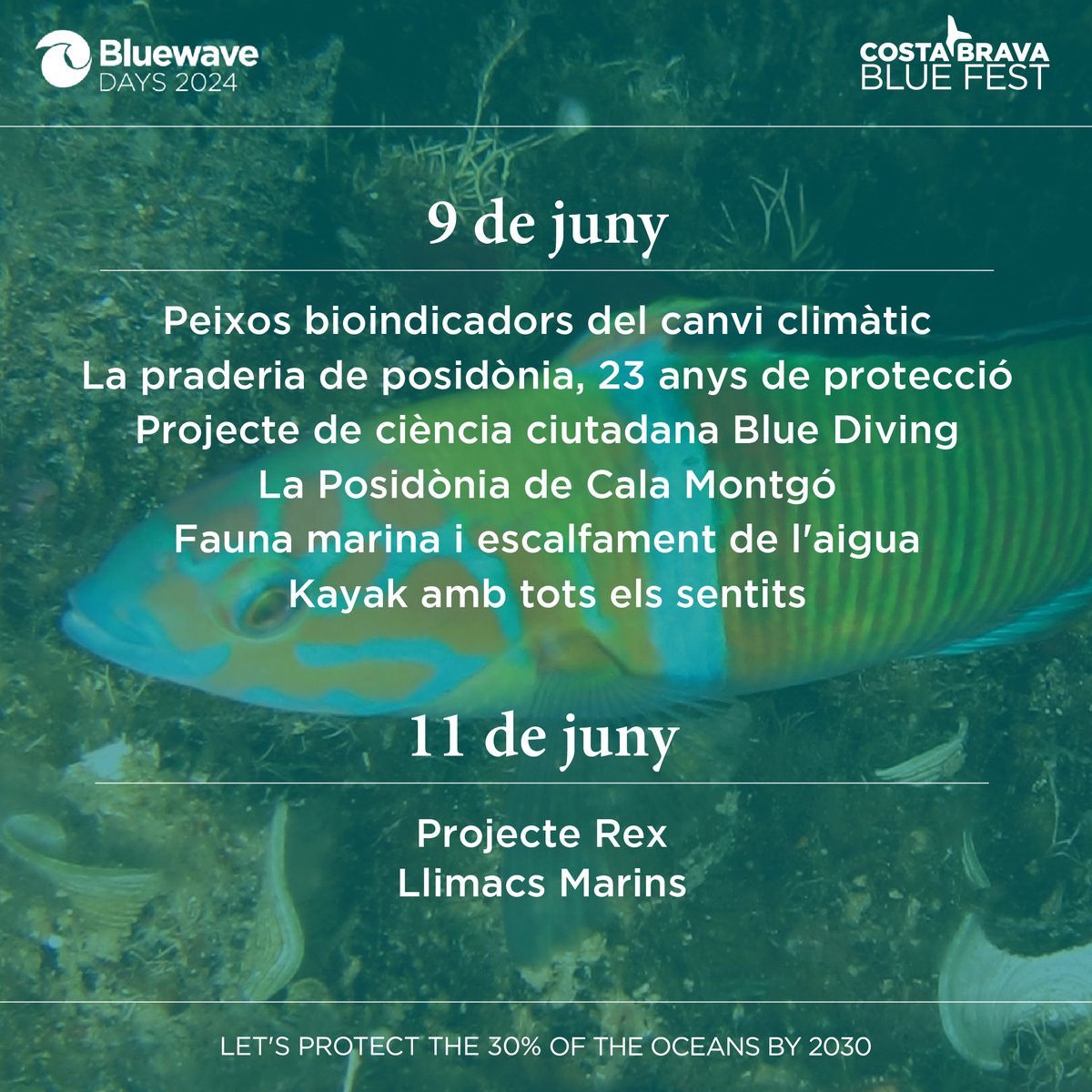 CostaBravaSub's tweet photo. 🐟 COSTA BRAVA BLUE FEST
Aquí teniu el calendari general amb totes les activitats que es faran del 7 al 14 de juny.

Si voleu informació més detallada, consulteu la nostra web https://t.co/MVhWHGDP1S

Us hi esperem! #costabravabluefest2024 https://t.co/Wz7zTEAcSM