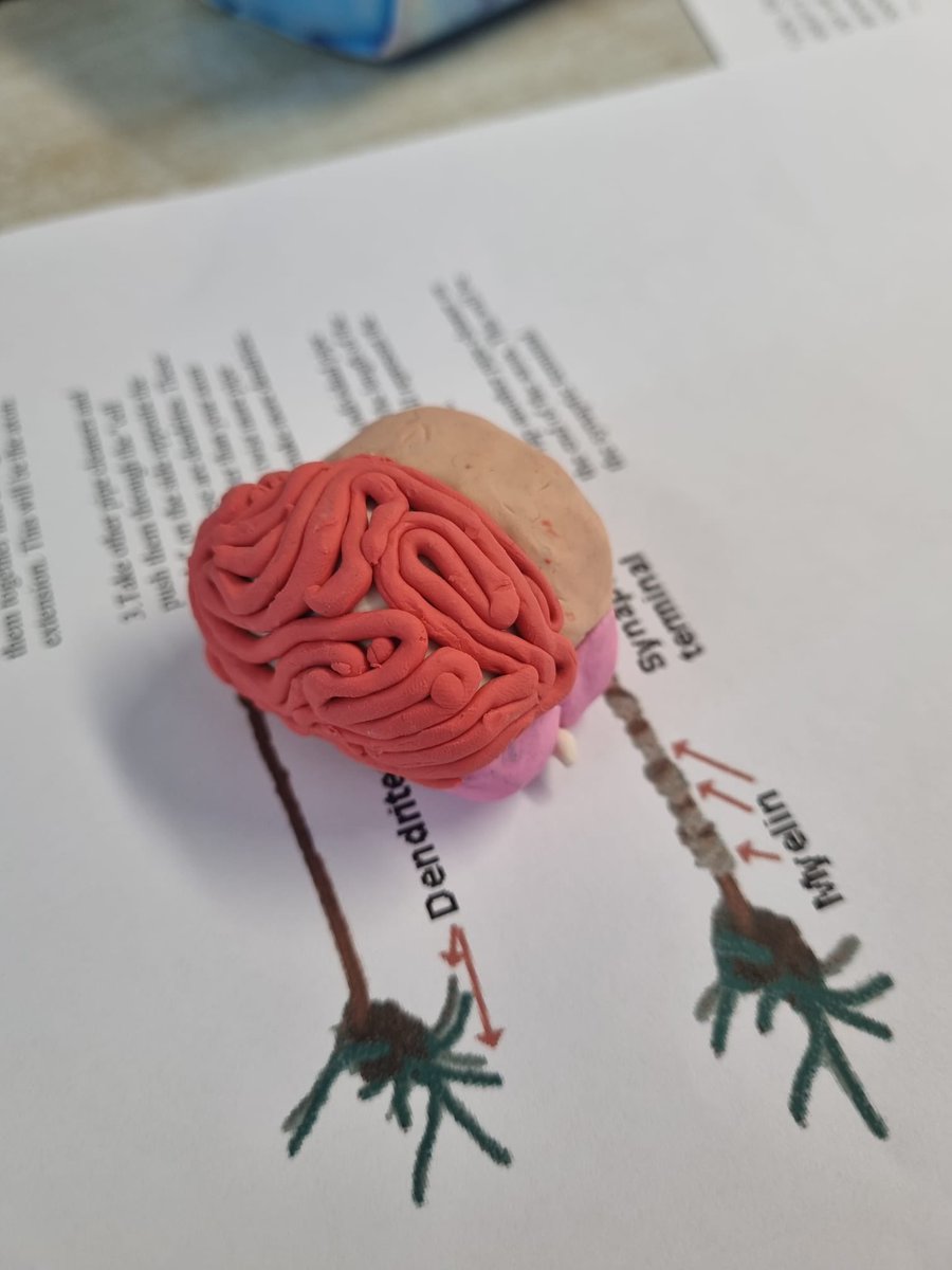 Mark Cunningham tweet media