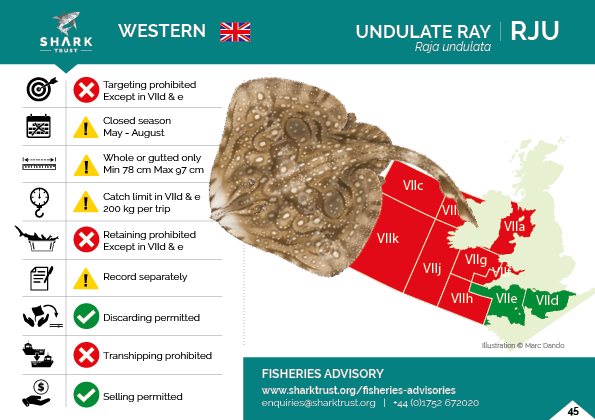 Today is the International Day for the Fight against Illegal, Unreported and Unregulated Fishing. Our Fisheries Advisories reduce #IUUFishing by providing rapid access for fishers & enforcement agencies to the legislative status of sharks, skates and rays bit.ly/SharkRayRegs