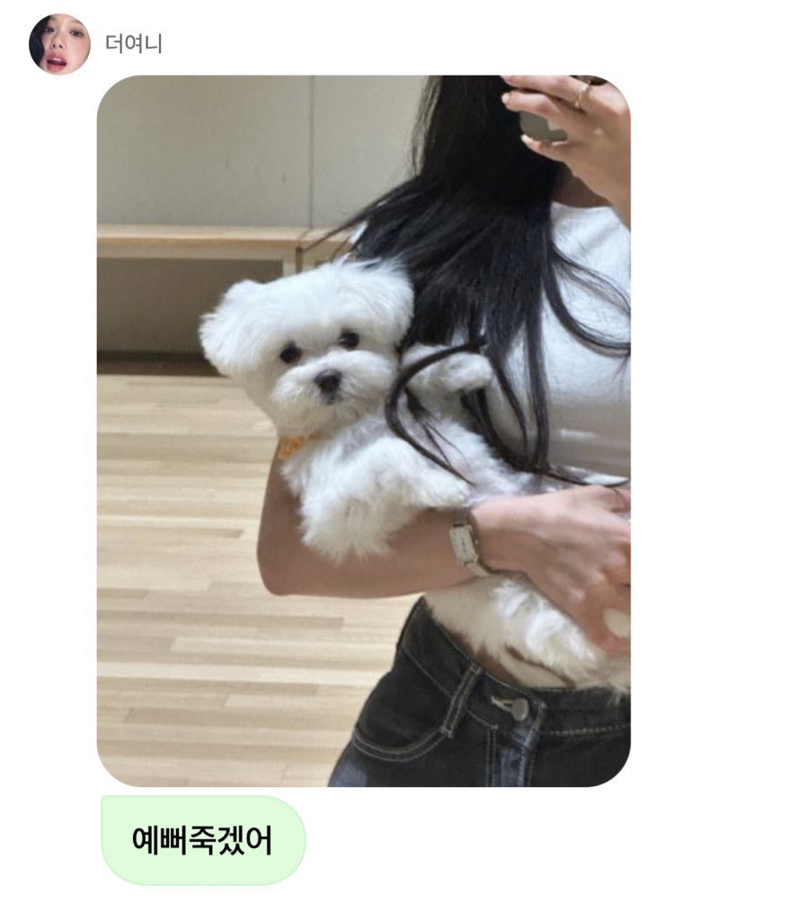 hskzzzz's tweet photo. 솔직히 ㅊㅅ https://t.co/ki3AkEGqNb