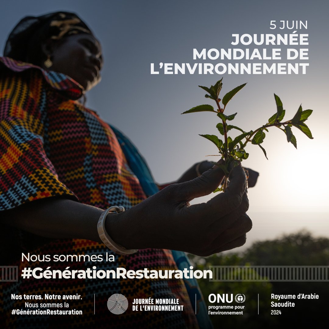 UN_Congo's tweet photo. Le 5 juin, c'est la #JournéeMondialeDelEnvironnement.
La République du Congo est en tête des 6 pays du bassin en termes de protection, avec 50%  de sa surface  totale en aires protégées. Protégeons nos forêts, notre faune &amp; nos écosystèmes pour les générations futures. https://t.co/EL909mfZFF