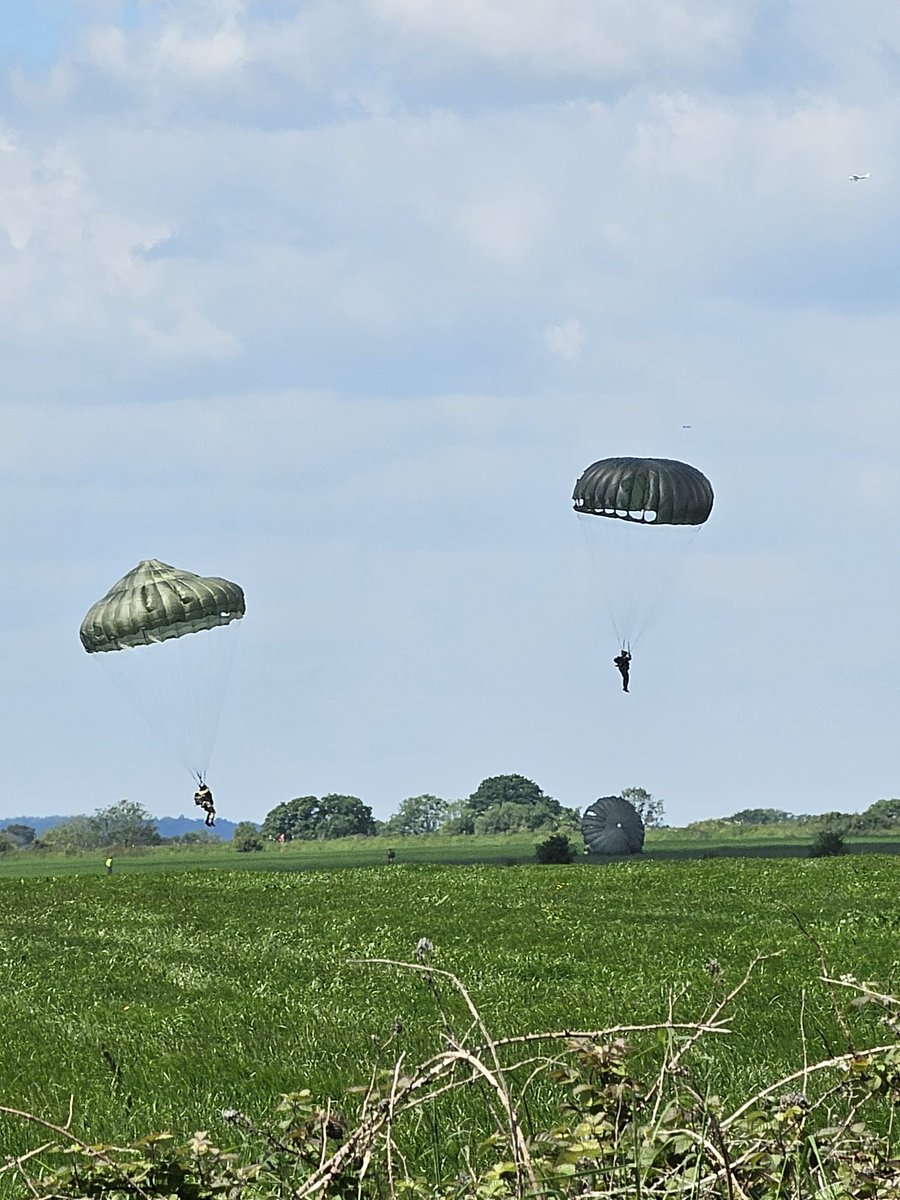 Alex Stevens tweet media