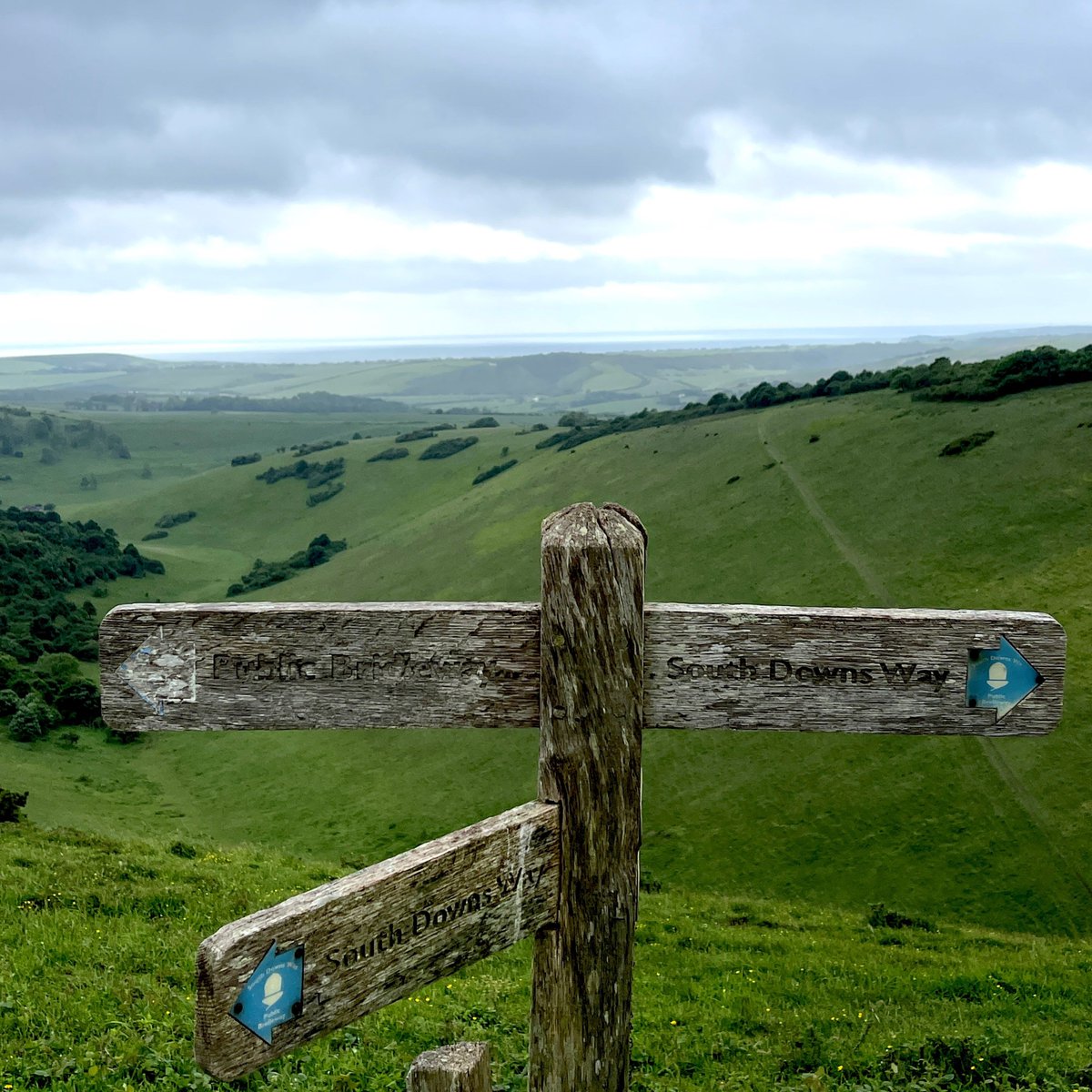 FriendSouthDwns's tweet photo. Moody ole fingerposts along the South Downs Way in East Sussex looking towards the sea.
#fingerpostfriday #southdownsway https://t.co/v9tDIvb5DL