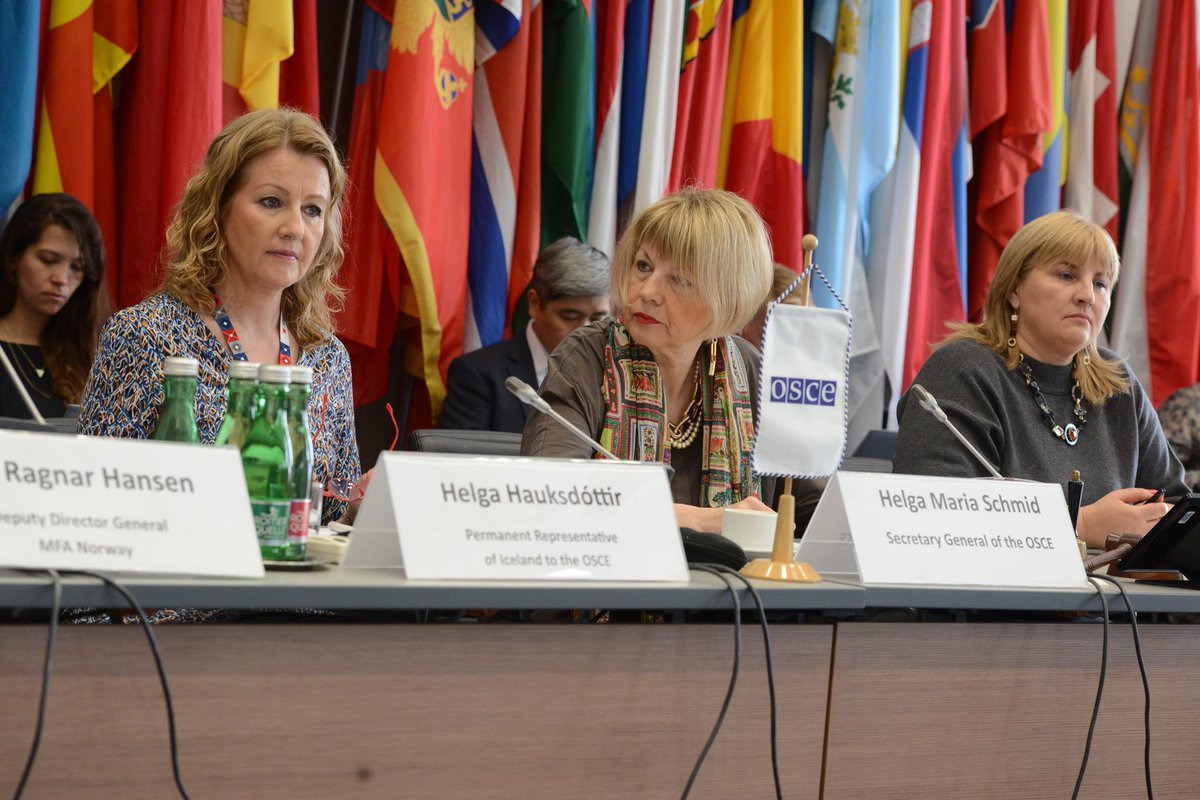 Finland in the OSCE tweet media