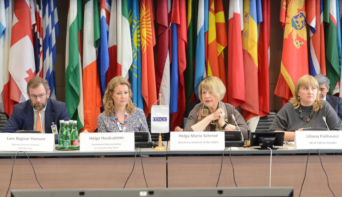 Finland in the OSCE tweet media