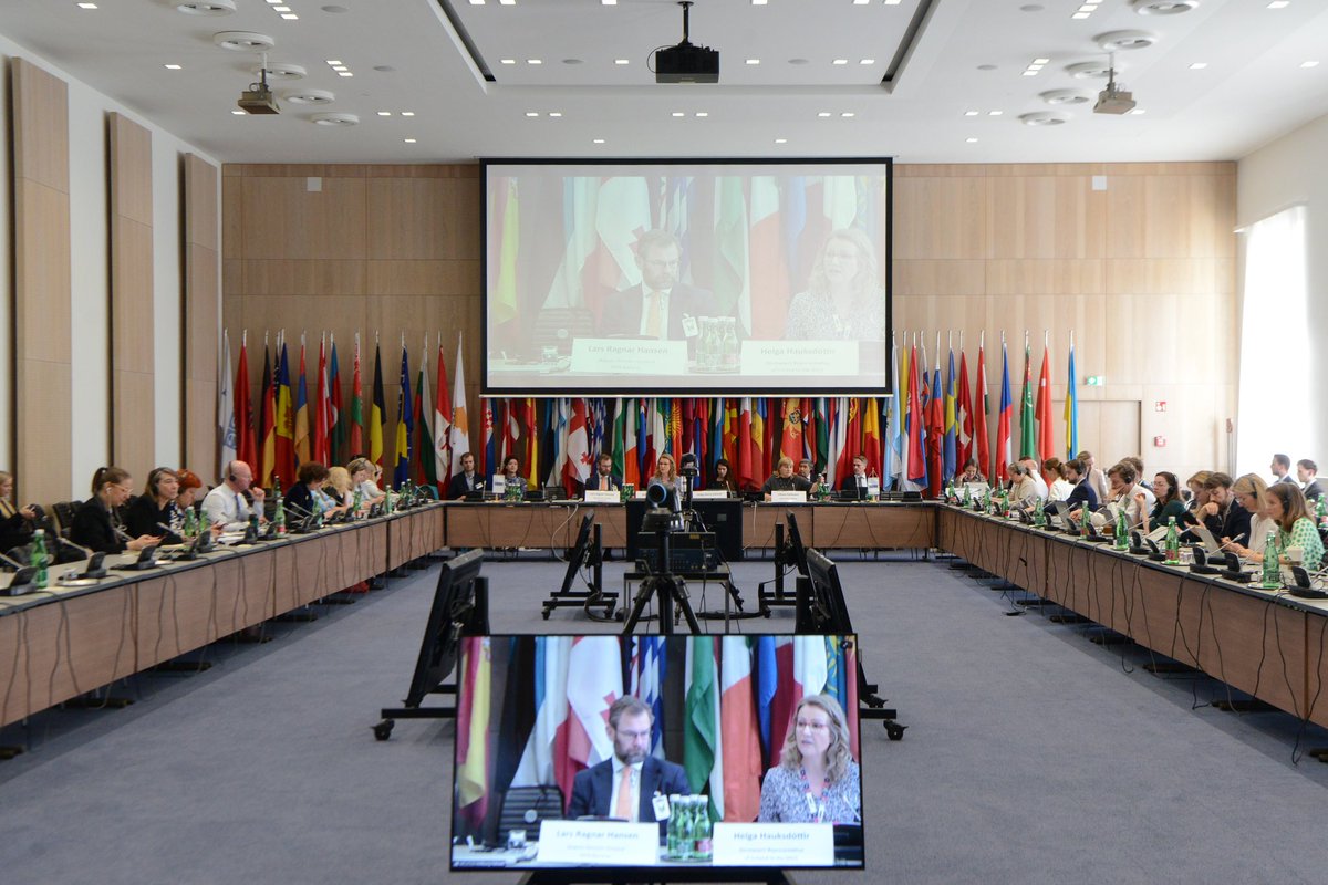 Finland in the OSCE tweet media