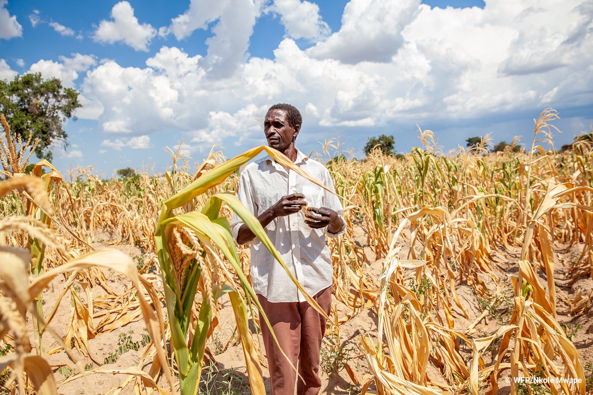 Reena Ghelani tweet media