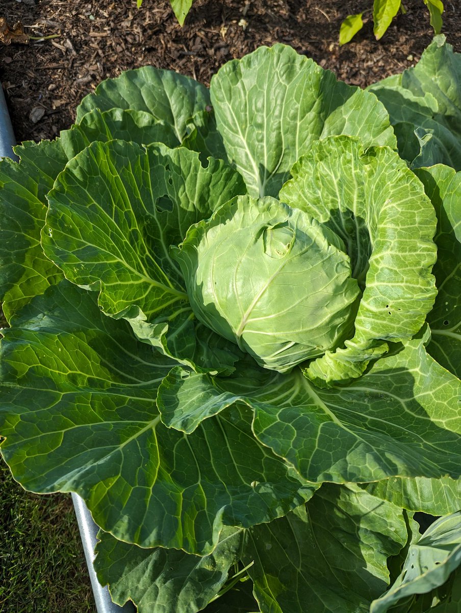 Matt Spangler tweet media