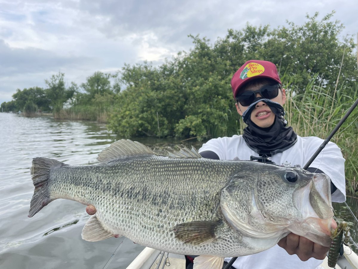 fishing10910141's tweet photo. 打ってたらギルバイト多いし
「じゃあ、ギル喰ってんじゃん」
で、ブルフラ3.8㌅の直リグにかえたらそっこー💥

メジャーなかったから推定58㌢/3660g

伊庭モンスターですネ‼️

#バス釣り
#琵琶湖
#伊場内湖
#deps
#oakley
#bassproshops https://t.co/zACzteTIkl
