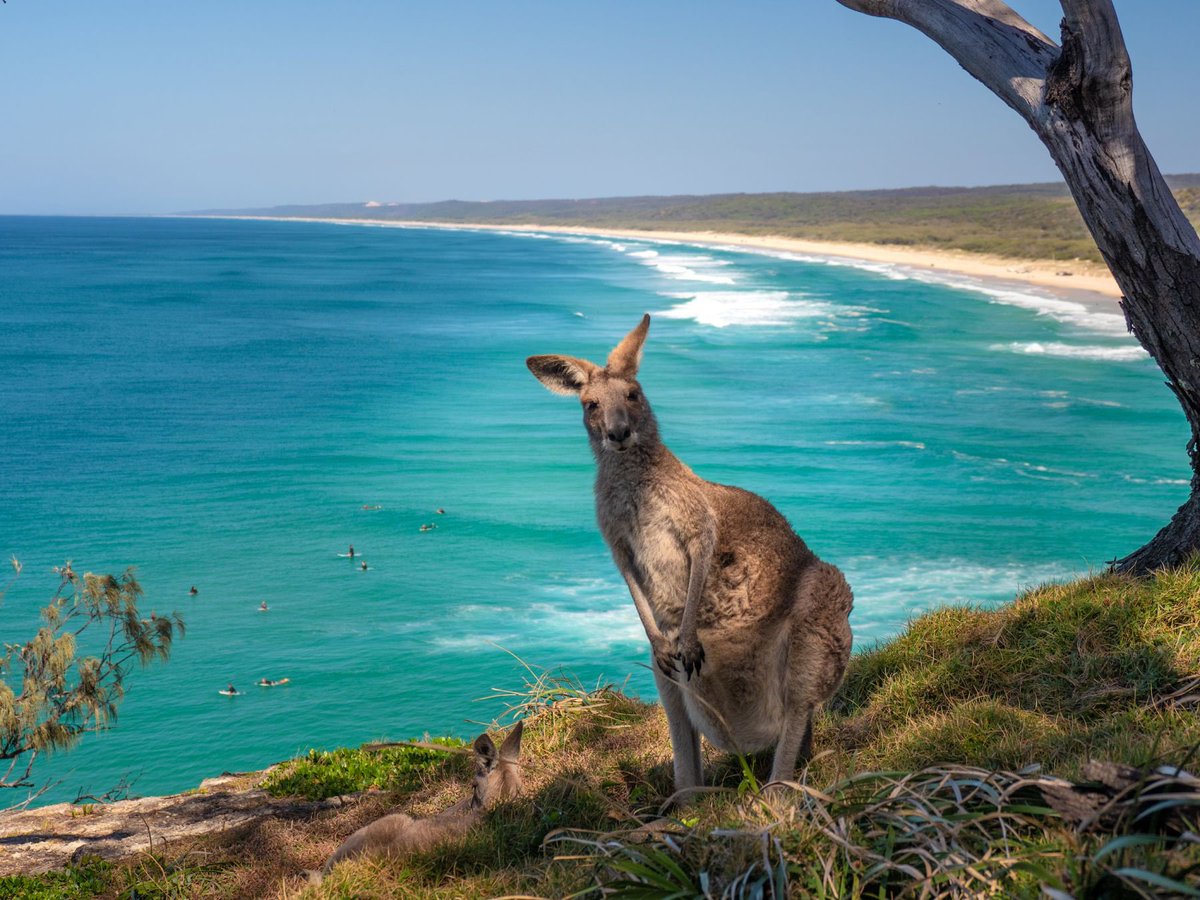 SharkGregNorman's tweet photo. There’s nothing like the stunning beauty and purity of my homeland, Queensland, Australia. To my fellow Queenslanders, cherish the magnificence of our great state. For those who haven’t visited yet, make sure to add it to your bucket list. Happy Queensland Day! #QLDday https://t.co/Z1DPT4AEal