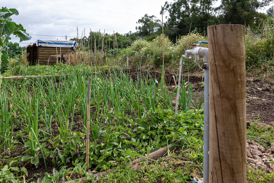 🌿Today is World Environment Day: the theme is “soil restoration, desertification and drought resistance“. 

All together we can make the diference and protect our planet 🌎

 <a href="/CamaraLisboa/">Lisboa</a>  <a href="/LIFEprogramme/">LIFE Programme</a>