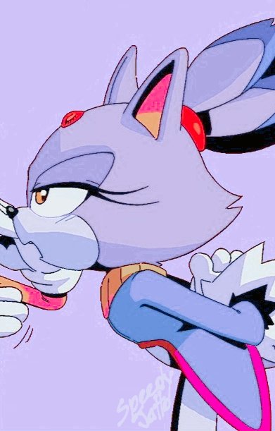 Speedy_2005's tweet photo. Sonic & Blaze match icons✨
#SonicTheHedgehog #BlazeTheCat #MatchIcons https://t.co/DoNpwjxUCA