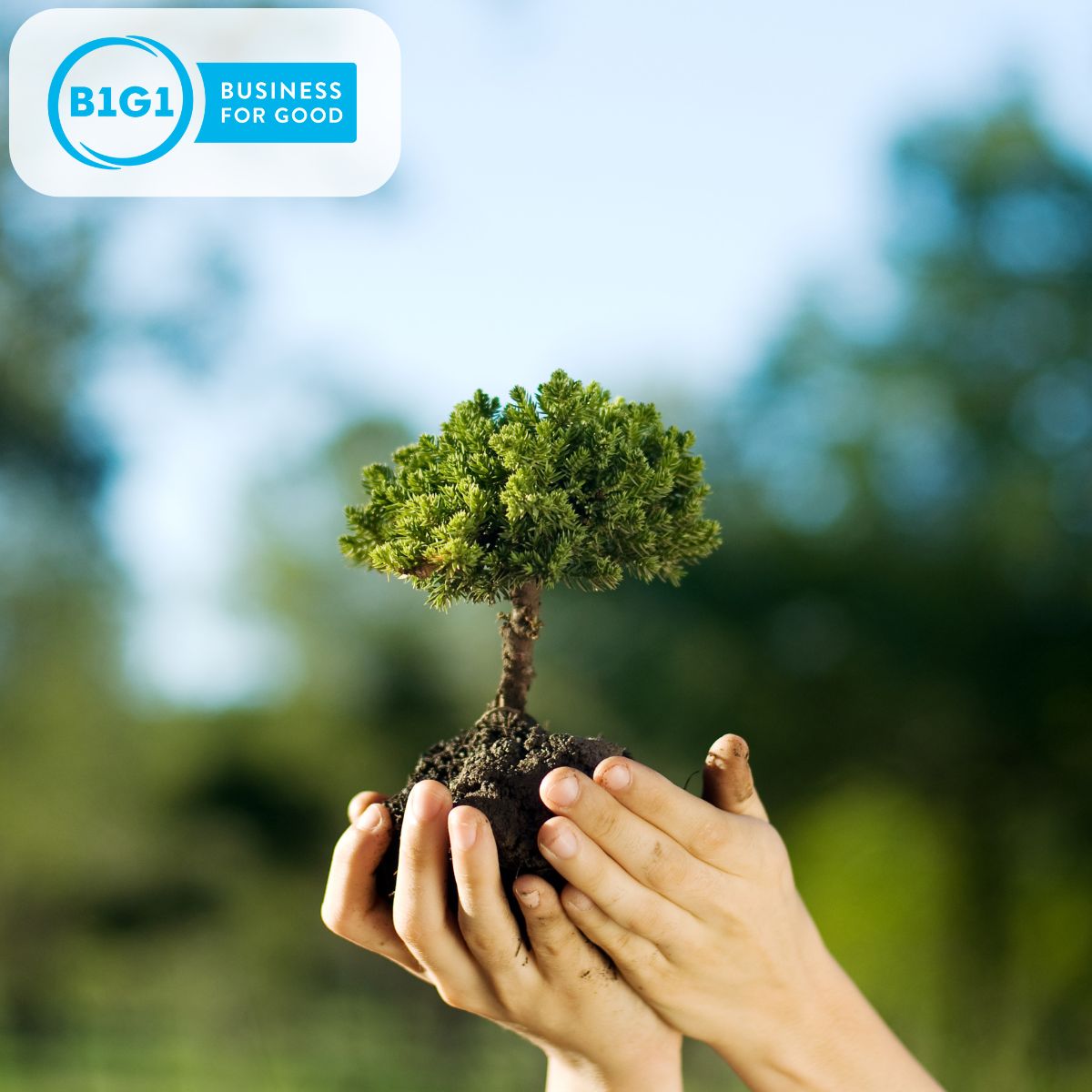 Proud to partner with <a href="/B1G1/">B1G1</a> Charity for impactful initiatives, especially on #WorldEnvironmentDay.

From global tree planting to sustainable agriculture education and beach clean-ups, we're dedicated to preserving our planet.

#Sustainability  #WalkerandSutcliffe