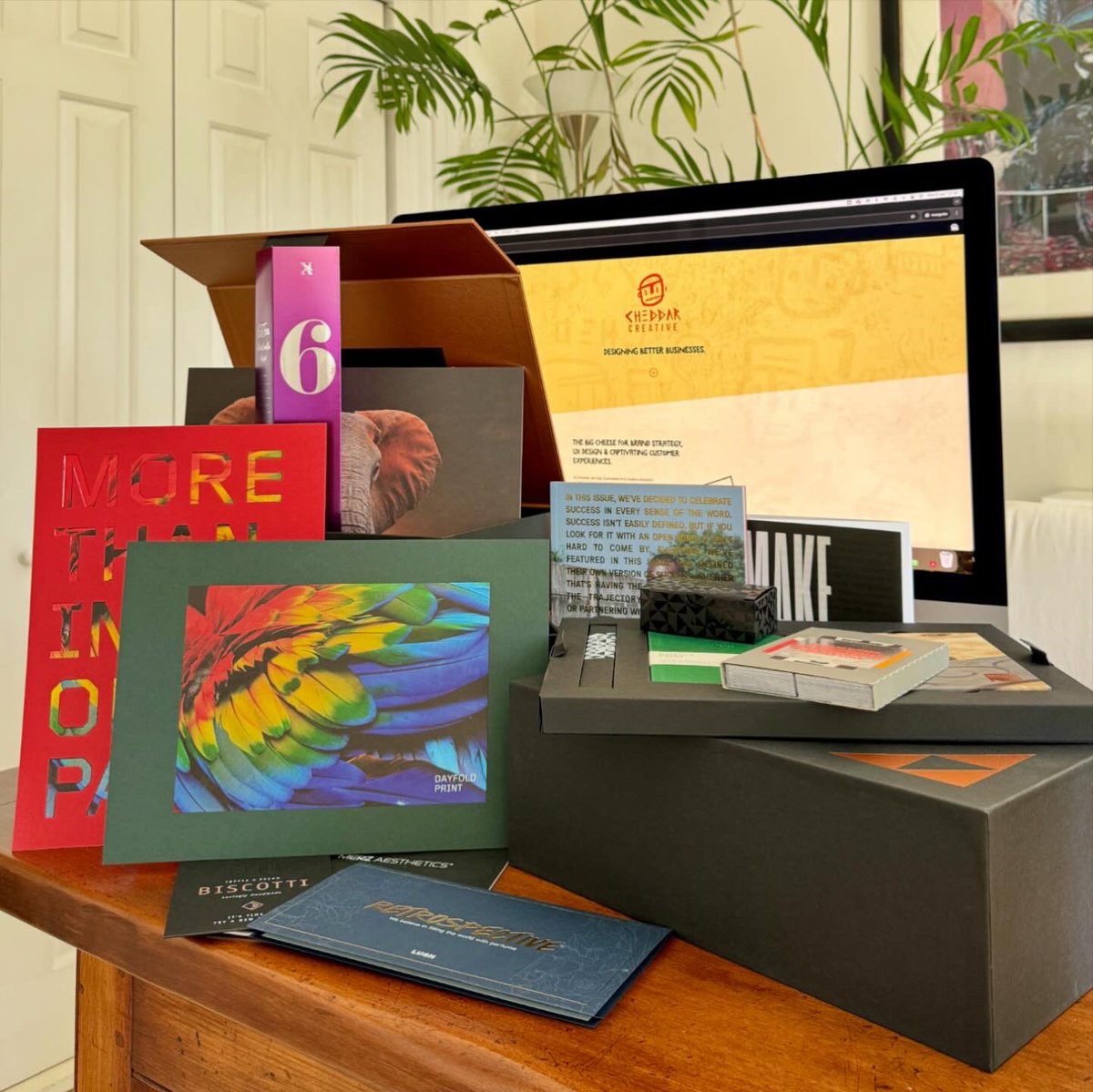 Cheddar Creative tweet media