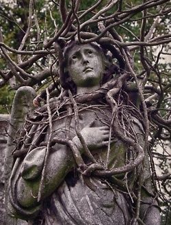 HIGHGATE CEMETERY Glorious in its gothic gloom;  tentacled ivy reclaims the dead in uncanny and surprising ways #WyrdWednesday