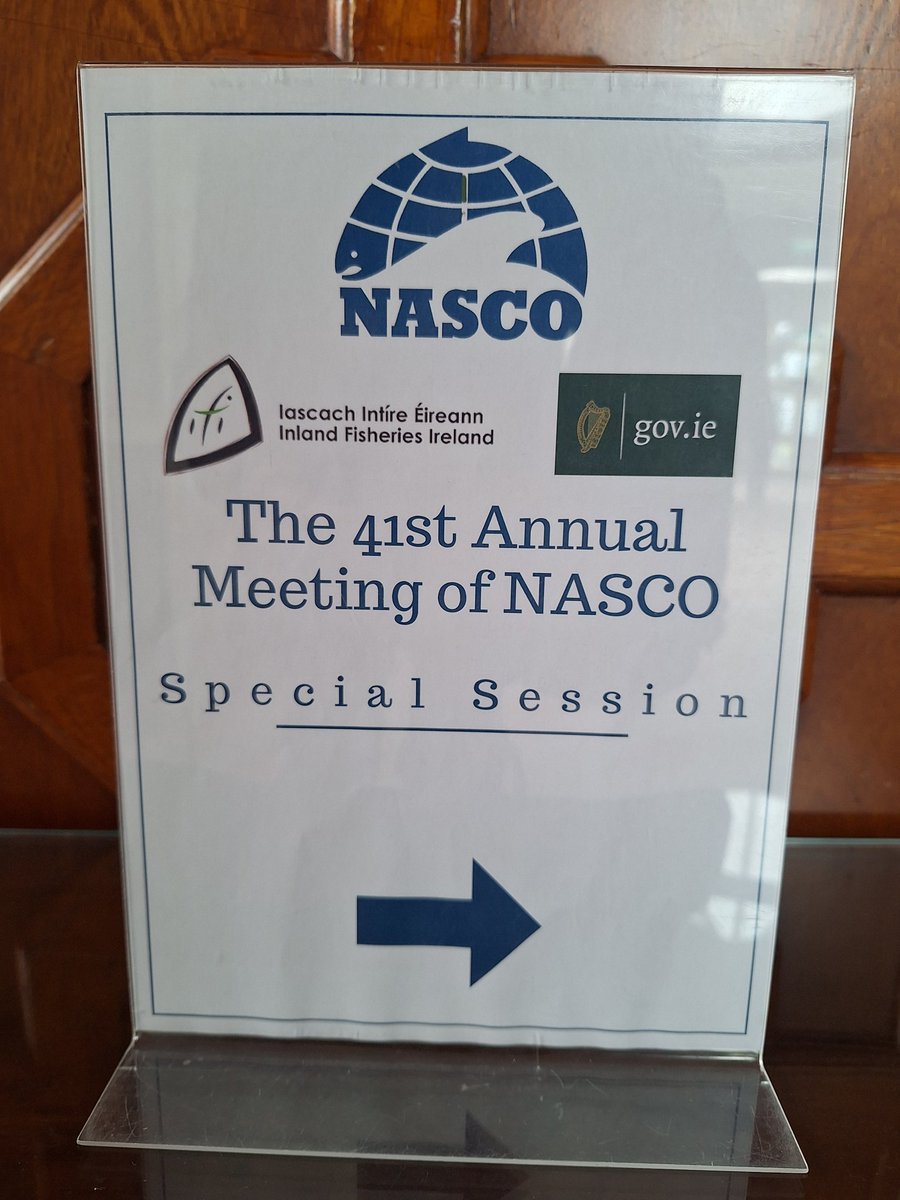 Jaakko Erkinaro (@jaakkoerkinaro) on Twitter photo Special Session of <a href="/NASCO_Sec/">North Atlantic Salmon Conservation Organization</a>: Pink salmon biology, management, potential impacts on Atlantic salmon Special Session of <a href="/NASCO_Sec/">North Atlantic Salmon Conservation Organization</a>: Pink salmon biology, management, potential impacts on Atlantic salmon