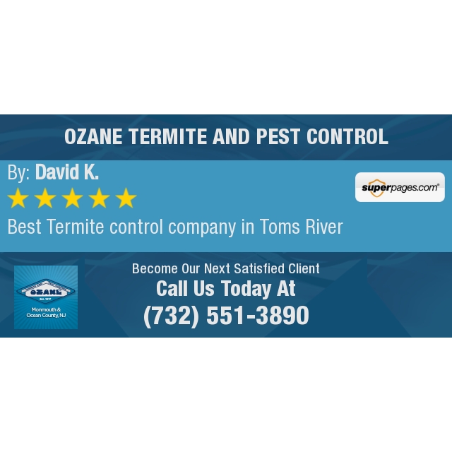 5 Star: David K. "Best Termite control company in Toms River"