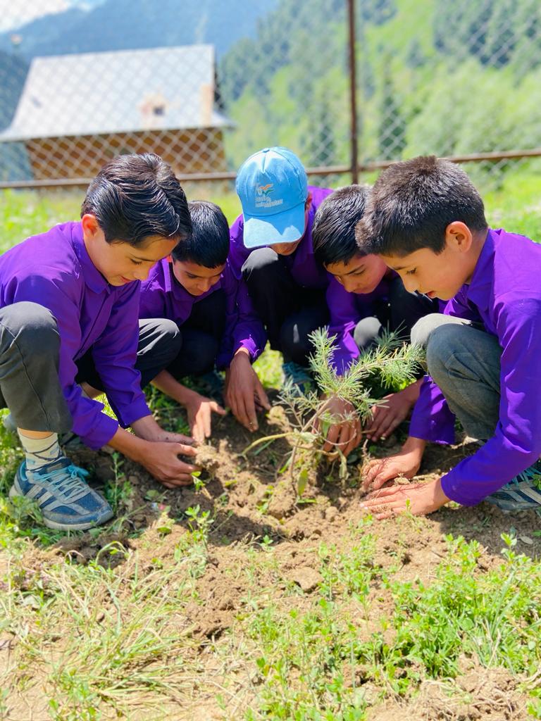 InsightVersion's tweet photo. Our planet is a gift, not an inexhaustible resource. Let's honor it by being mindful of our impact this #WorldEnvironmentDay 🌍 🌿 🌱 🌳
#WorldEnvironmentDay
#GreenLegacy
#GreenWave
#EcoEvolution https://t.co/i2976hMdhZ