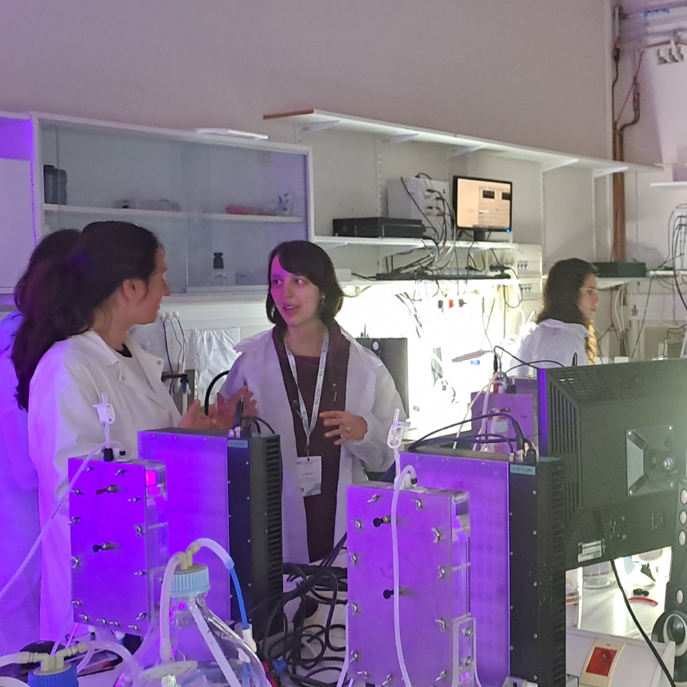 🌟 A big thank you to AlgoSolis Microalgae R&amp;D Facility and Laboratoire GEPEA for inspiring and insightful tours around their facilities!

🔬We learnt a lot about different microalgae cultivation systems, analysis of microalgae compounds and strain optimization! 

#YAS2024 #EABA