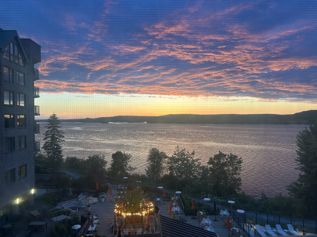 Fae Johnstone 🏳️‍⚧️🏳️‍🌈 tweet media