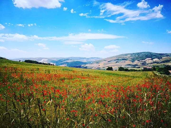 #GiornataMondialeDellAmbiente 
Possiamo vivere in armonia con questo ambiente?
Noi crediamo di sì! ❤️

#weareinPuglia #inpuglia365 #viaggioinitalia #lagrandebellezza