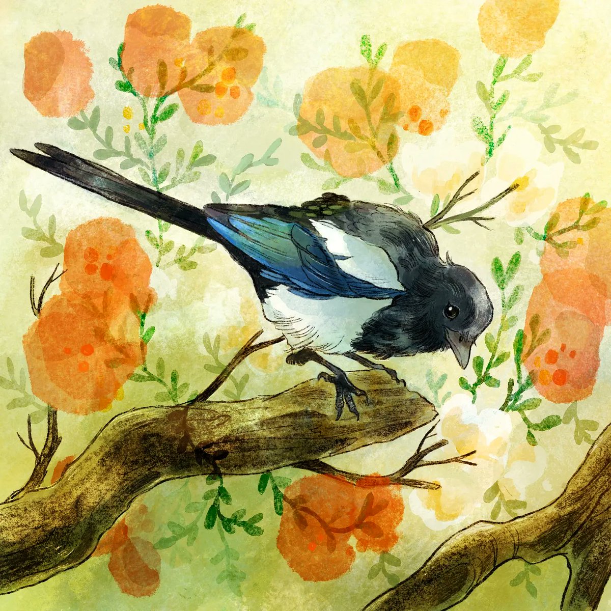 Des pies pour mon père 💔