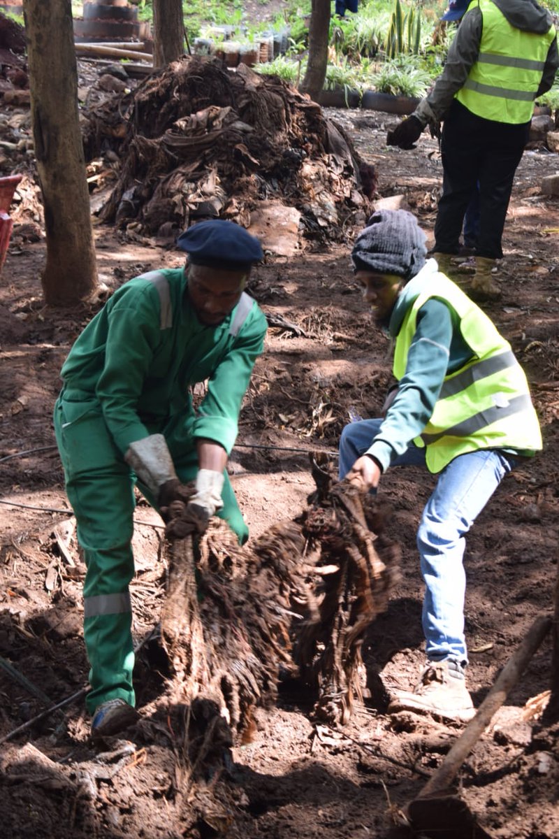 Ubunifu Eco-train tweet media