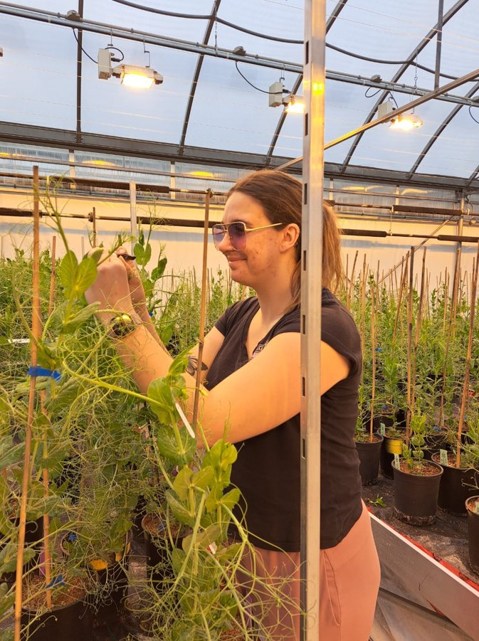 Limagrain Research CA tweet media