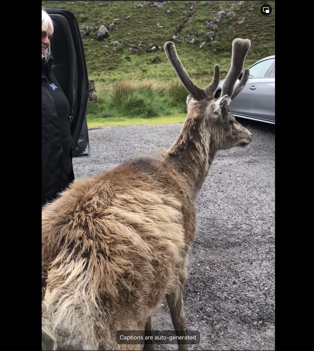 Fiona C Fraser tweet media