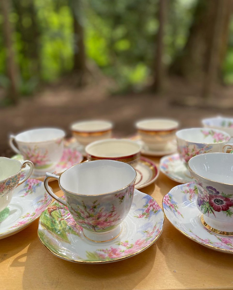 The rain and wind delayed our Tea Party yesterday …and today is looking like a perfect day to celebrate our Grandparents and our Grandfriends! Intergenerational Day was June 1st and for us it’s everyday! #elders #grandparents #GisForGrandfriend @surrey_schools @surrey_schools